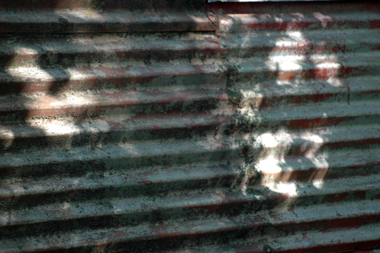 072404_SussexCo003v1