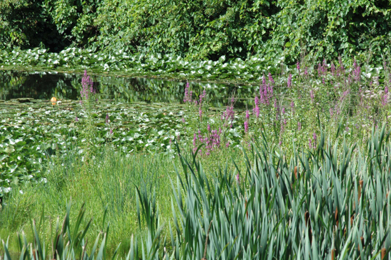 072404_SussexCo018v1