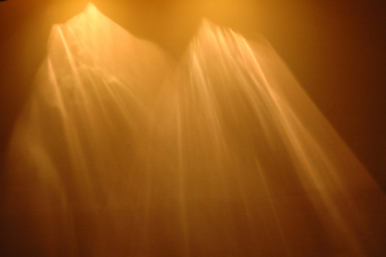 072504_Monhgn006v1