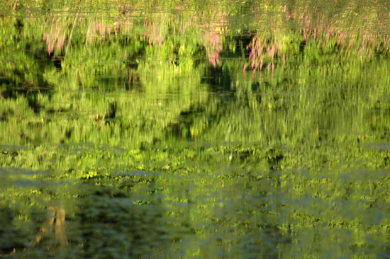 082204_VERNONset019v1
