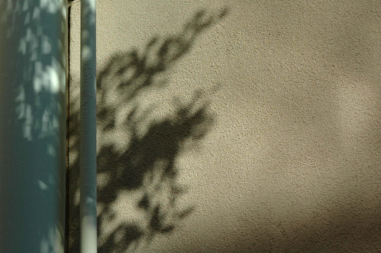 090504_OAKabs023v1