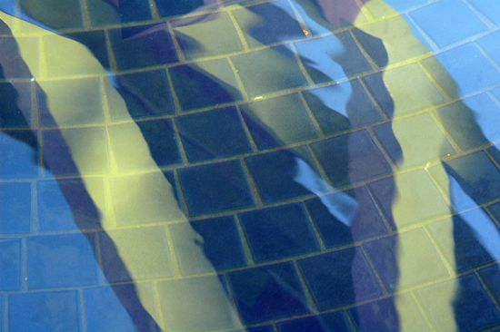 090504_OAKabs027v1