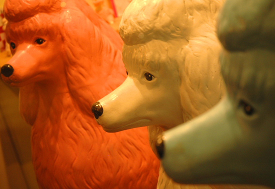 112504_Poodls014v1