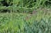072404_SussexCo018v1