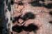 072504_CachHike015v1