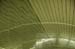 081504_NYCabstr003v1