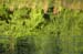 082204_VERNONset019v1