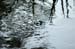 082204_VERNONset038v1