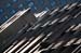 082304_NYCwalk004v1