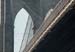 082304_NYcircl053v1