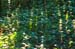 102404_FenceShad001v1