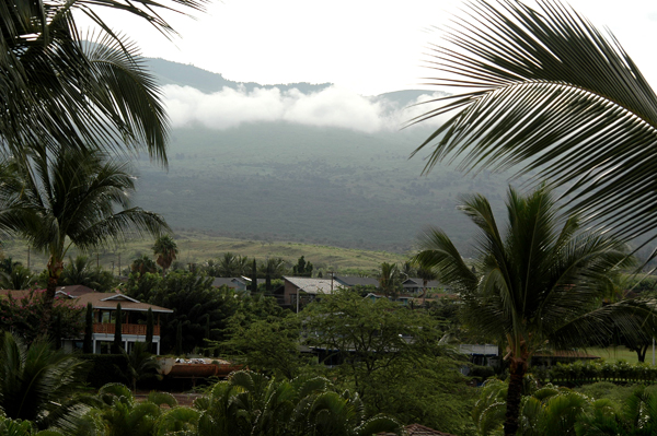 Maui002