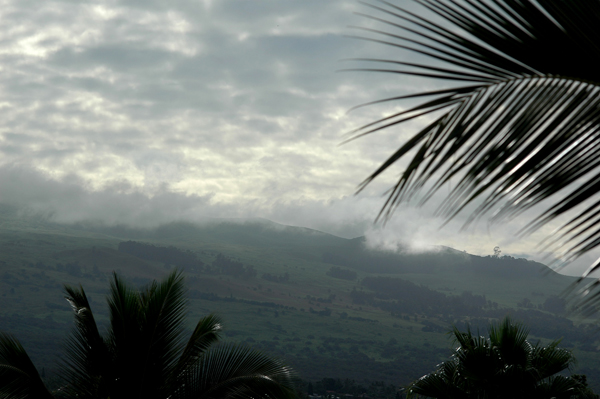 Maui003