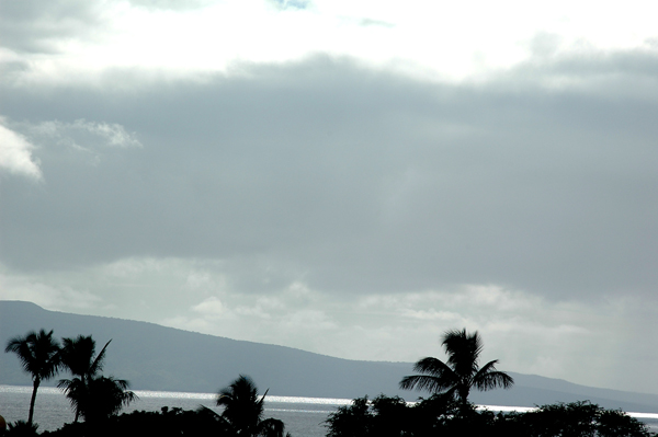 Maui006