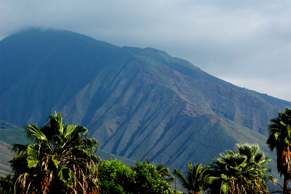Maui052