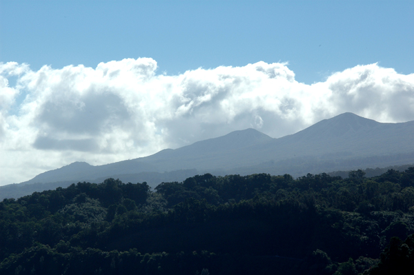 Maui078