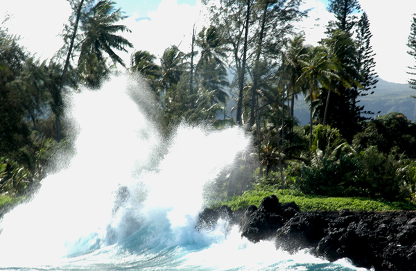 Maui088