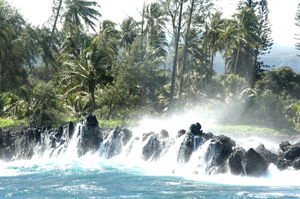 Maui089