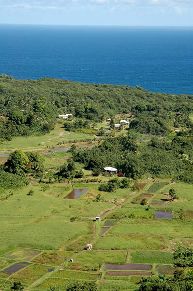 Maui092