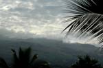Maui003