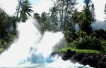 Maui088