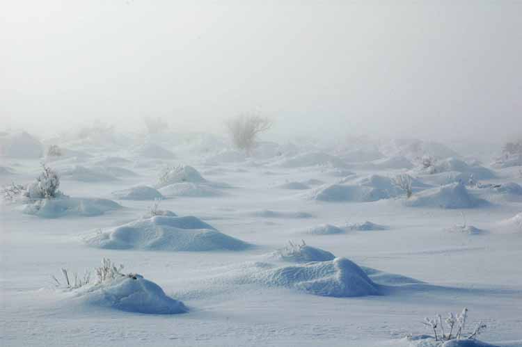 Desert_Snow_01