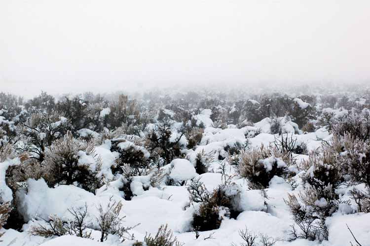 Desert_Snow_02