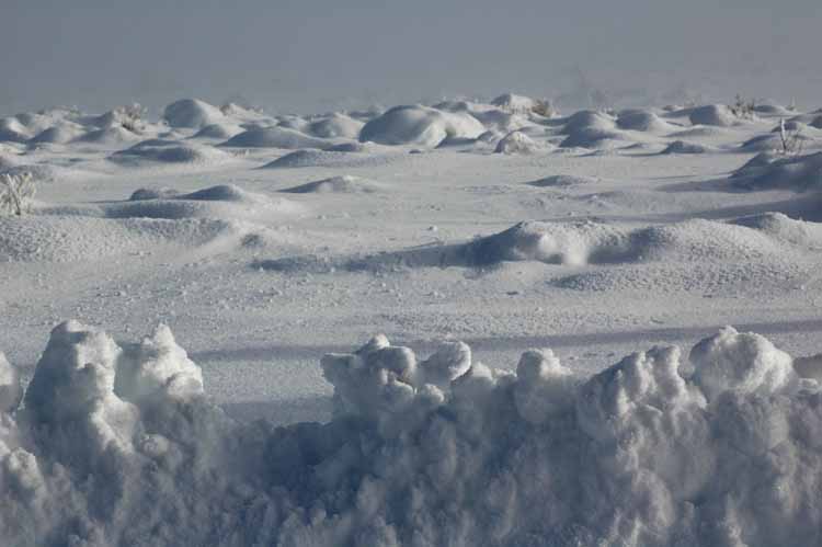 Desert_Snow_03