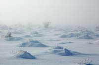 Desert_Snow_01