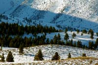 Hwy_395_04