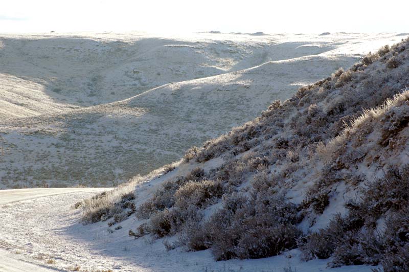 Wyoming_Landscape21