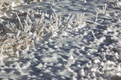 Snow_and_Ice01