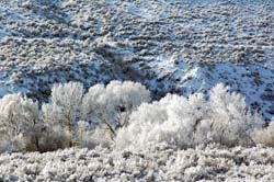 Snow_and_Ice02