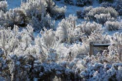 Snow_and_Ice03