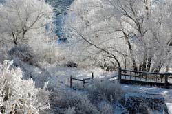 Snow_and_Ice04