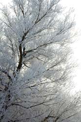Snow_and_Ice05