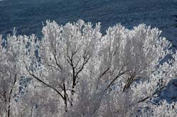 Snow_and_Ice06