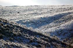 Wyoming_Landscape20