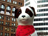 Year_of_the_Dog_01